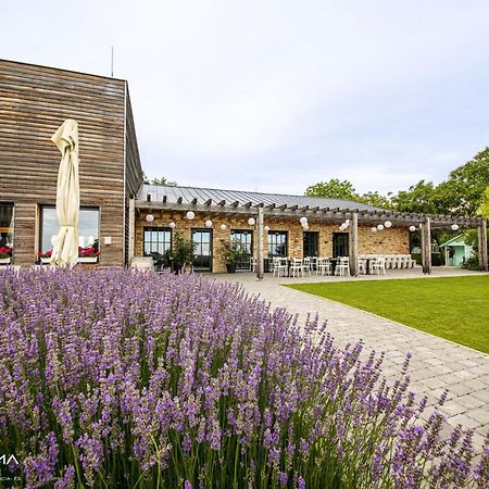 Panorama Birtok - Wellness Panzio, Konferencia Es Rendezvenykoezpont Bed & Breakfast Gyorujbarat Ngoại thất bức ảnh